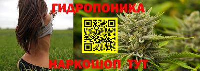 2c-b Бийск